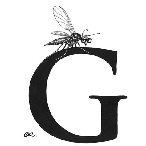 Gnat Drawing | Free download on ClipArtMag