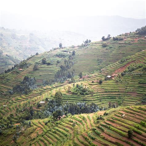 Thousand Of Hills Rwanda Ivan Dupont Flickr