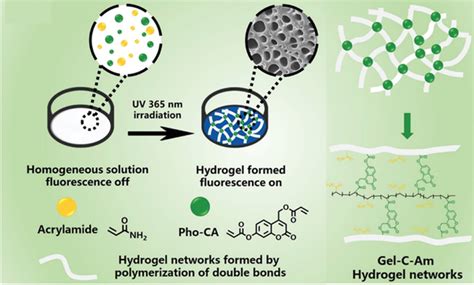 Schematic Illustration Of Preparation Process And Chemical Composition