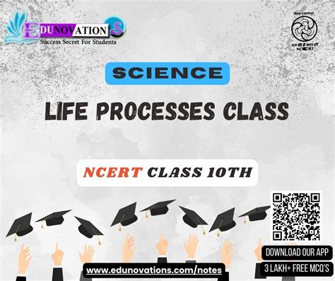 Ncert Class 10 Science Mcq Life Processes Class Mcqs Multiple Choice Questions