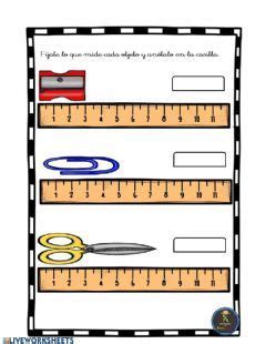 Medida De Longitud Idioma Espa Ol O Castellano Curso Nivel Ep
