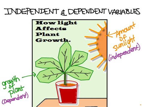 Examples Independent Dependent Variables Math