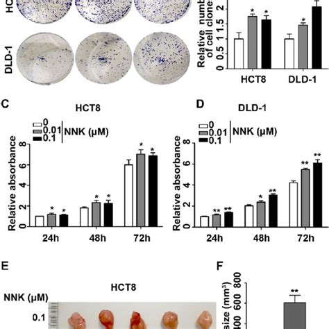 Nnk Exposure Enhanced The Tumorigenic Potentials Of Crc Cells A B