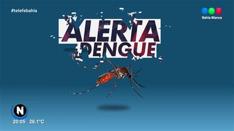 Alerta Dengue El Virus No Circula En Bah A Youtube