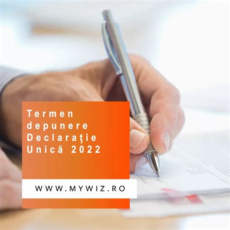 Termen depunere Declarație Unică 2022 25 Mai MyWiz