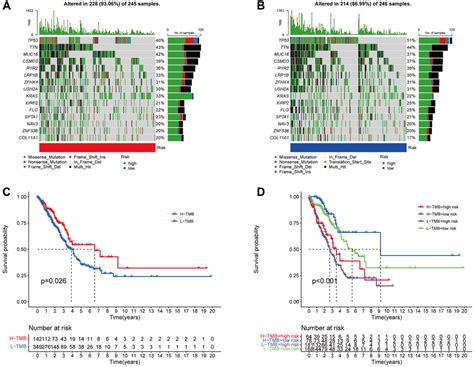 Construction And Validation Of A Prognostic Signature Based On Anoikis