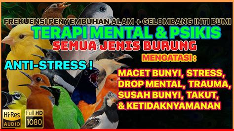 Audio Terapi Mental Semua Jenis Burung Agar Gacor Untuk Burung