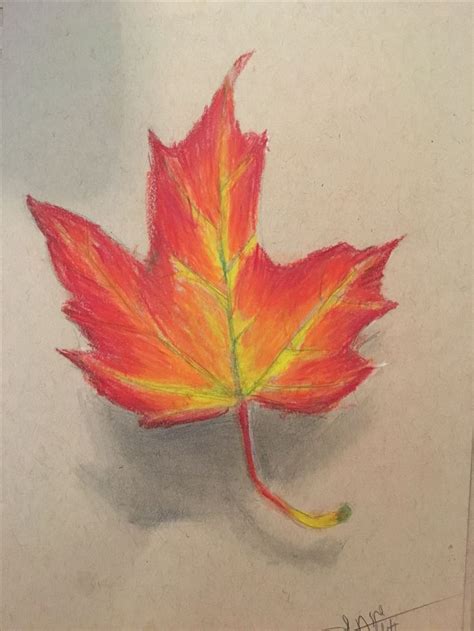 Realistic Drawing Of A Leaf Falling Leaf Drawing Realistic Drawings