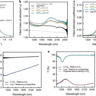 Fabrication Scheme And Characterization Of Pnpspolymer Film A