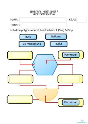 Ciri Poligon Sekata. Interactive worksheet | TopWorksheets