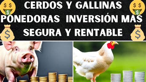 Cómo decidir entre cerdos y gallinas ponedoras para la inversión más