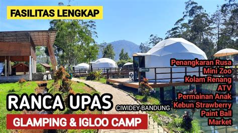 Glamping Ranca Upas Ciwidey Bandung Iglo Camp Bobo Cabin Ranca Upas