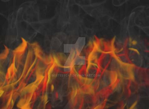 fire practice  bestestcat  deviantart