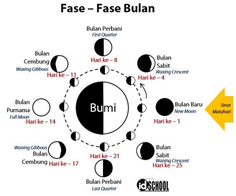 Revolusi Bulan Brain