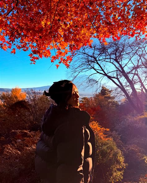 Emma Mei-Li | cut off a wolf's head and it still has the power to bite