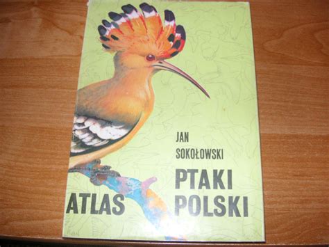 Ptaki Polski Atlas Jan Soko Owski Bia Ystok Kup Teraz Na Allegro