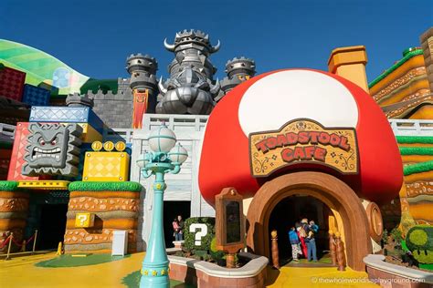 Toadstool Cafe Your Guide To The Hollywood Hotspot