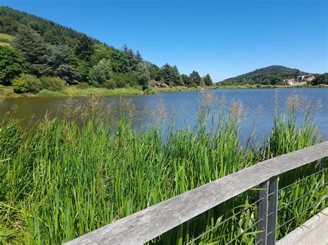 Le lac du Ronzey à Yzeron Partir Ici