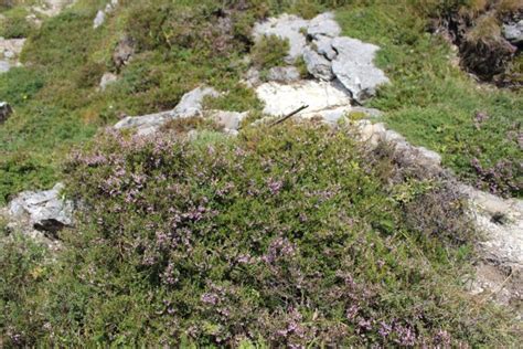 Landeiundco De Wandern Auf Dem Vulkan Der Puy De D Me Landeiundco De