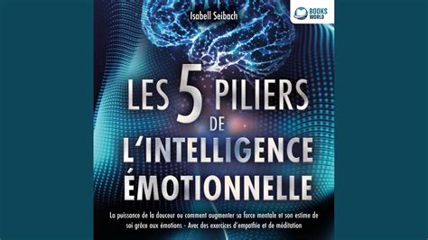 Chapter Les Piliers De L Intelligence Motionnelle La Puissance