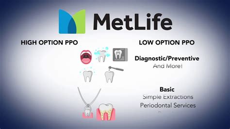 Metlife Dental Insurance Ppo Plans Financial Report