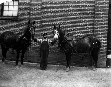 Sunset Brewery Horses Barnard Stockbridge Photograph Collection