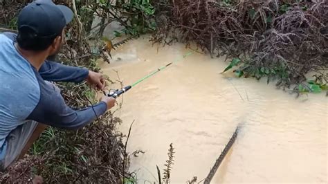 JIKA DAPAT SARANG IKAN YANG BEGINIAN SAMPALUPA AKAN PULANG MAS BRO