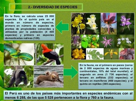 Biodiversidad Y Desarrollo Sostenible Mind Map