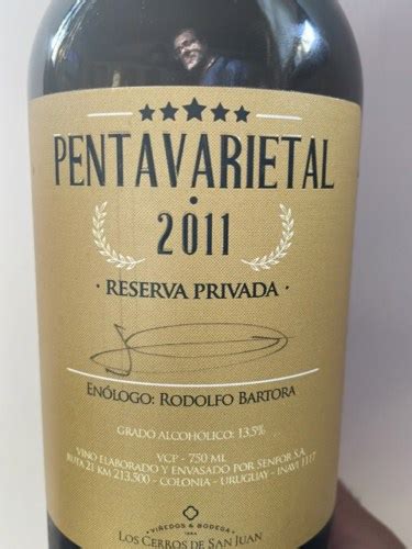 Los Cerros De San Juan Pentavarietal Reserva Privada Vivino Us