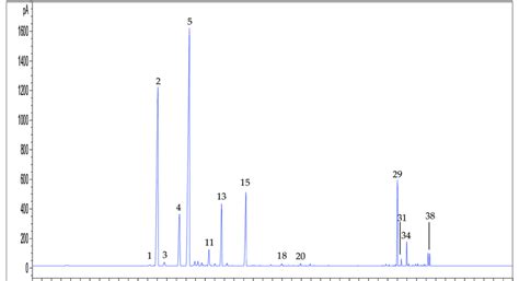 Representative Gc Fid Chromatogram Obtained By Using The Hs Spme Method Download Scientific