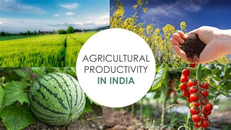 Agricultural Productivity In India