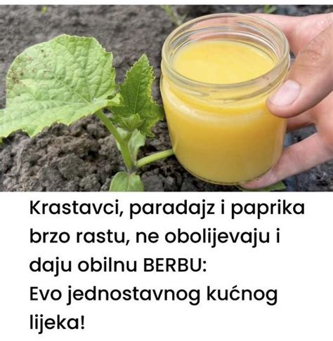 Krastavci Paradajz I Paprika Brzo Rastu Ne Obolijevaju I Imajte Obilnu