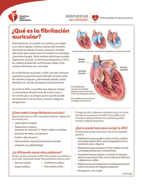 Text Qu Es La Fibrilaci N Auricular Healthclips Online