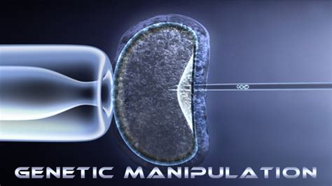 Genetic Manipulation, Stock Footage | VideoHive