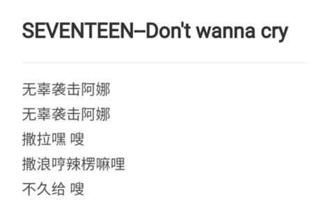 SEVENTEEN Don t wanna cry 音译 空耳 自用 哔哩哔哩