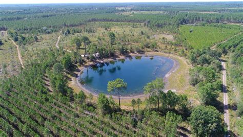 Les lagunes des Landes trésor caché ici