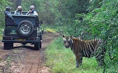 Manas Nameri Kaziranga Tour Assam Wildlife Tour Package