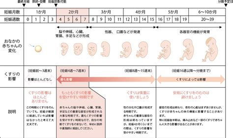 妊活中に頭痛薬は飲んでもいいの？ 漢方と西洋医学のブレンド妊活