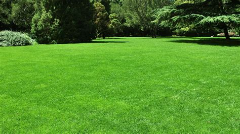 When to Apply Pre-Emergent Herbicide to Lawns - Hemlock Landscapes