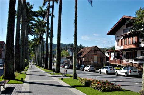 Rua Das Palmeiras Blumenau Saiba Mais Focalizando