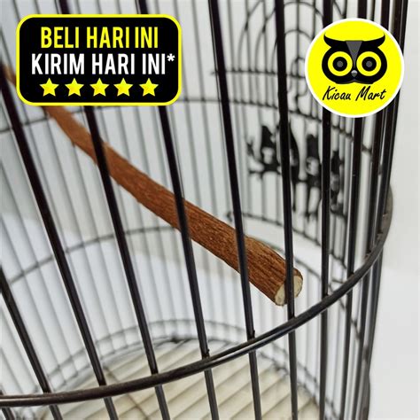 Jual Tangkringan Pleci Kayu Asem Jawa Alami Grade A Terbaik Tangkringan