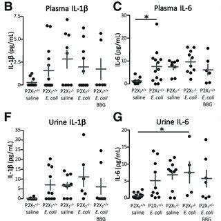 Cytokine Levels In Plasma And Urine 5 Days After Infection Plasma