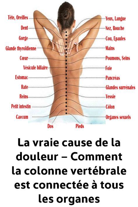 La vraie cause de la douleur Comment la colonne vertébrale est