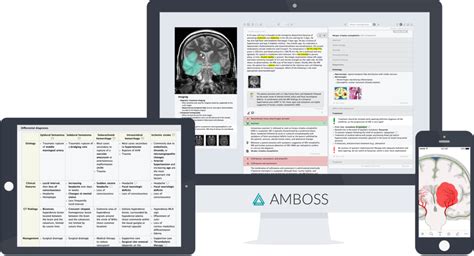 Its A No Brainer Study For Your Neurology Shelf With Amboss