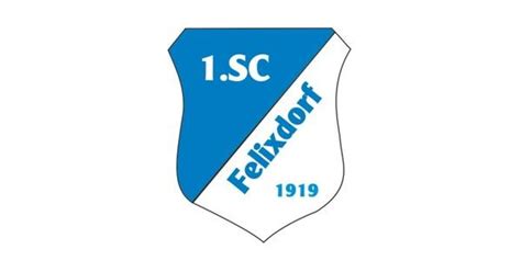 Felixdorf Ste Sc Wr Neustadt Amateure Ll Ost Oefb At