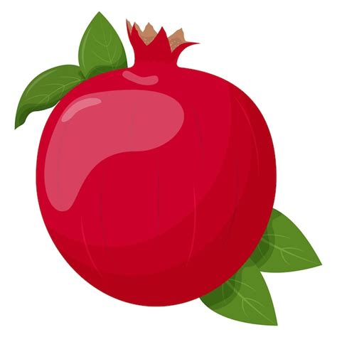 Premium Vector Whole Pomegranate Isolated On White Background Flat