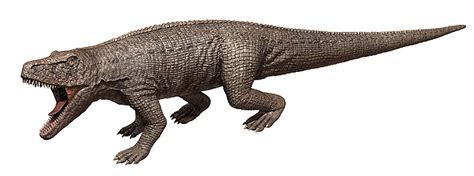 Archosaur Saurosuchus Galilei Dinosaur 3d Model