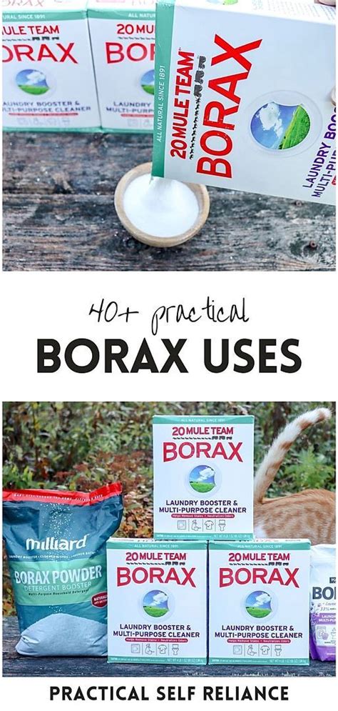 40 Practical Ways To Use Borax Borax Uses Borax Homesteading Skills