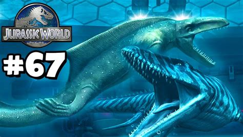 Megalodon And More The Aquatic Update Jurassic World The Game 67 Youtube