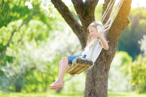 The Best Rope For Tree Swings Picks From Bob Vila